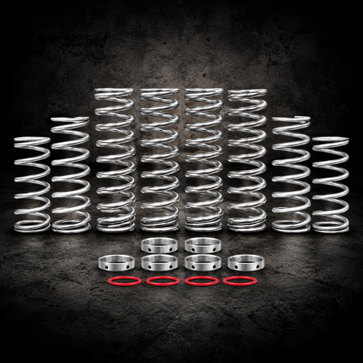 PRO XP DUAL RATE SPRING KIT