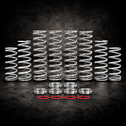 PRO XP DUAL RATE SPRING KIT