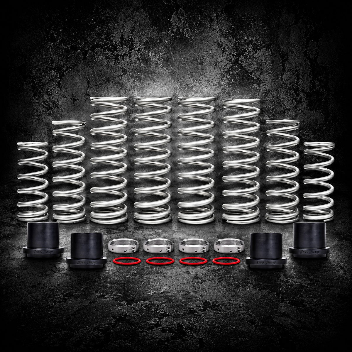 XPEDITION DUAL RATE SPRING KIT