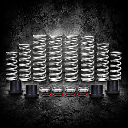 XPEDITION DUAL RATE SPRING KIT