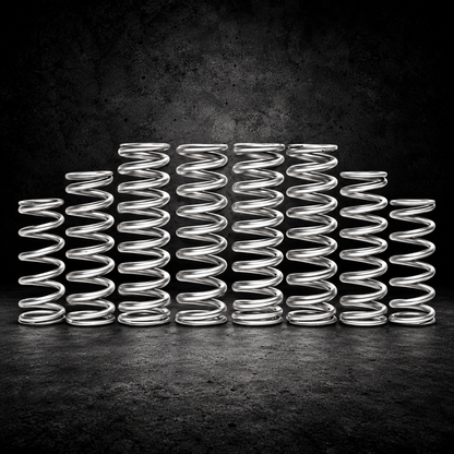 TURBO R DUAL RATE SPRING KIT